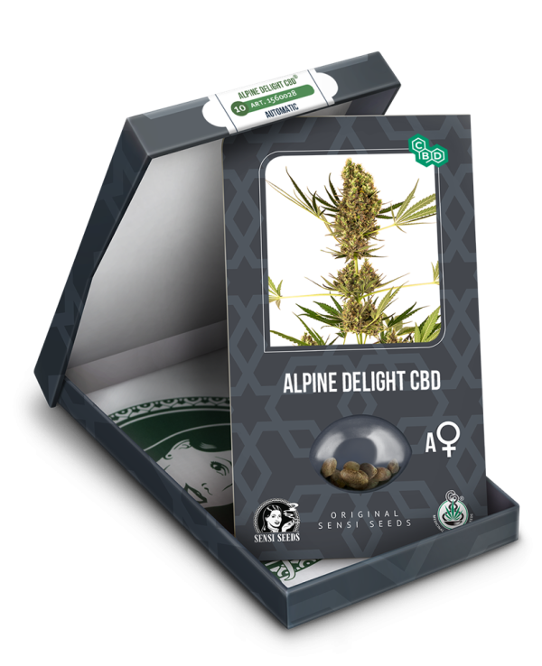 Alpine Delight CBD Automatic Seeds