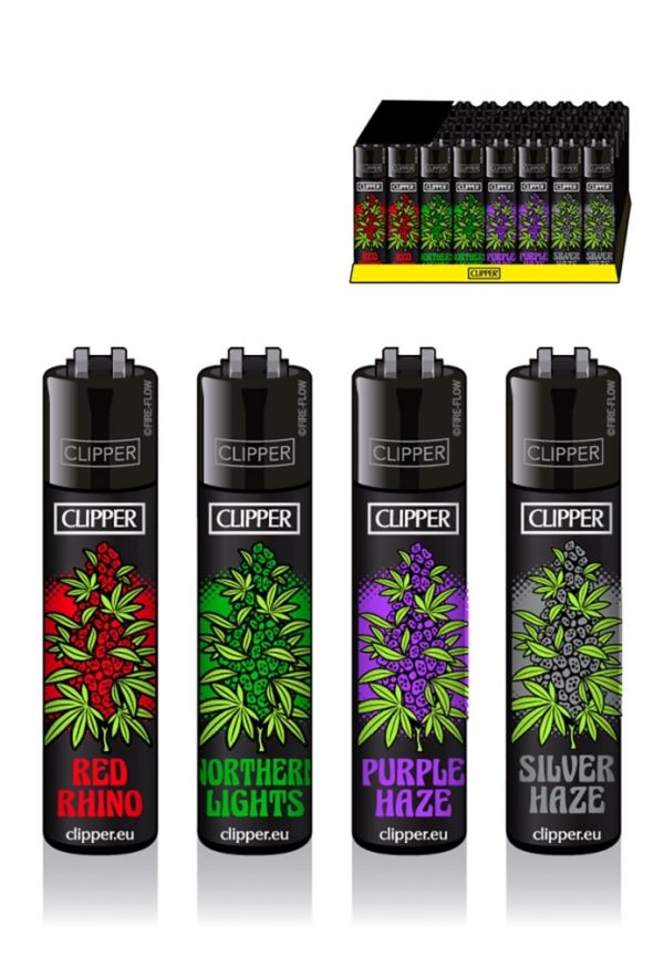 Clipper Strains