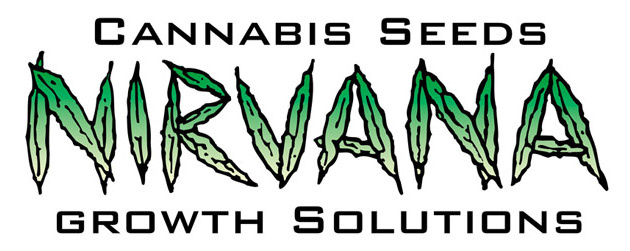 Northern Light 10 ks regular