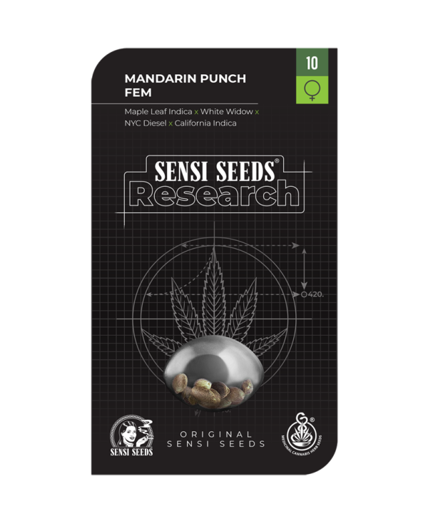 Mandarin Punch Feminized Seeds
