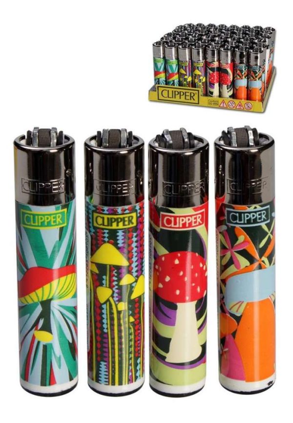 Clipper Shrooms