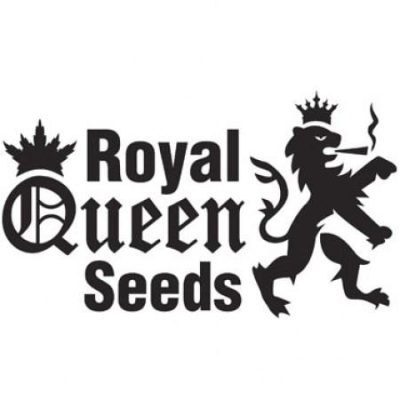Feminized Royal Queen seeds