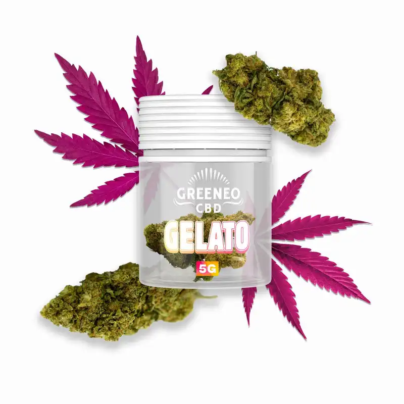 Greeneo CBD - Gelato 5G