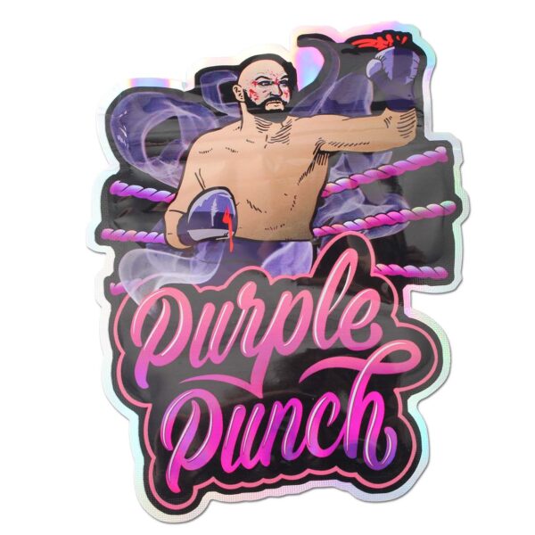 Zip Bag Purple Punch