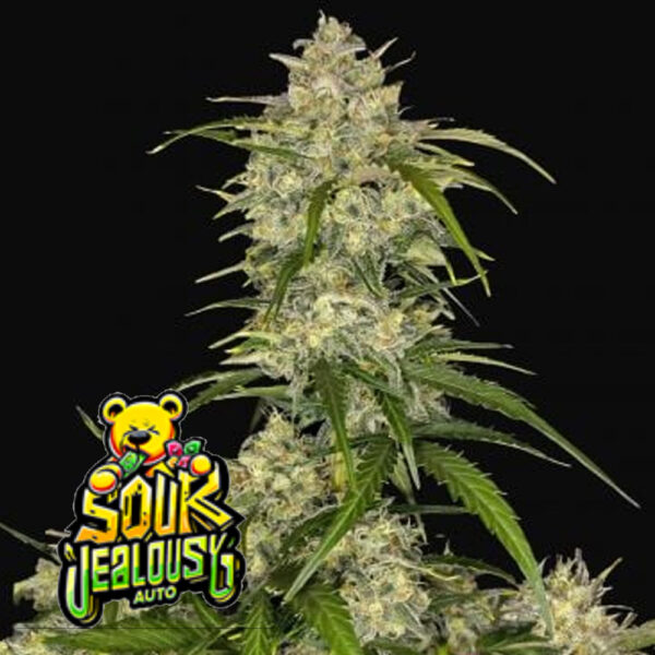 FastBuds Sour Jealousy Auto™