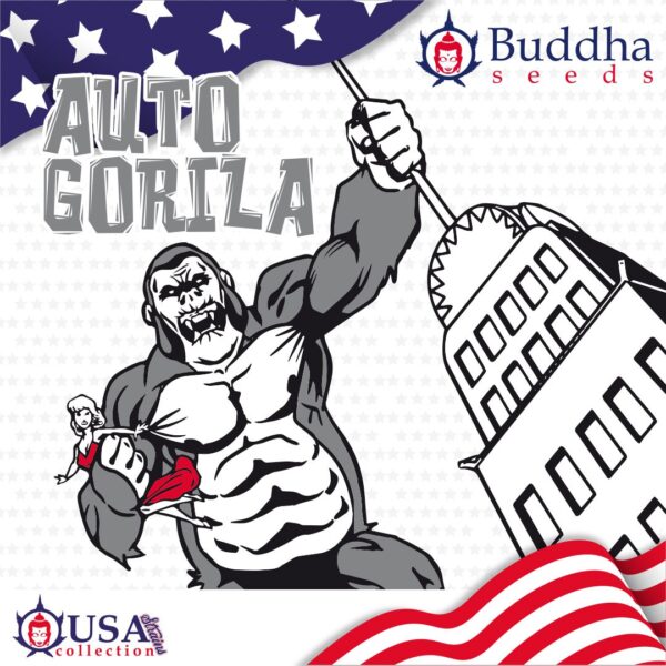 Gorila Auto