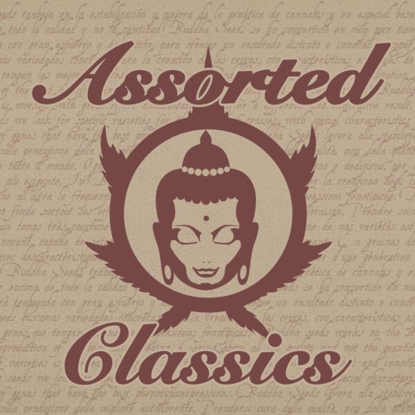 Assorted Classics fem.