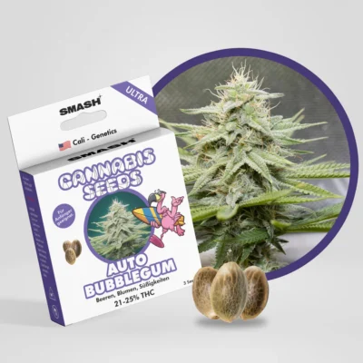 SMASH - Bubblegum ULTRA GENETICS AUTO 3KS