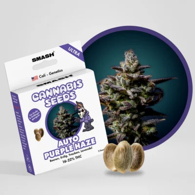 SMASH - Purple Haze ULTRA GENETICS AUTO 3KS