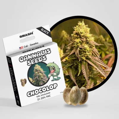 SMASH - Chocolop BLACK GENETICS FEM 3KS