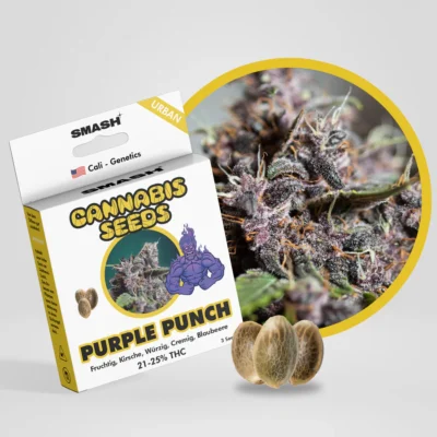 SMASH - Purple Punch URBAN GENETICS FEM 3KS