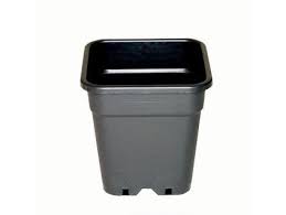 Kvetináče